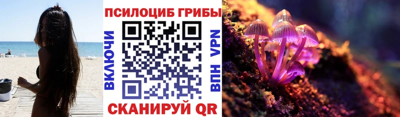 Галлюциногенные грибы MAGIC MUSHROOMS  Купить закладки  Салехард 