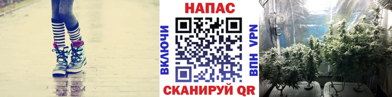 Купить закладки  Салехард  Бошки марихуана SATIVA & INDICA 